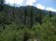 imgp0088_small.jpg