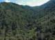 imgp0091_small.jpg