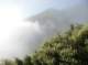 imgp0006_small.jpg