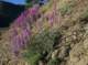 imgp0013_small.jpg