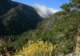 imgp0019_small.jpg