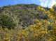 imgp0028_small.jpg