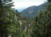 imgp0005_small.jpg