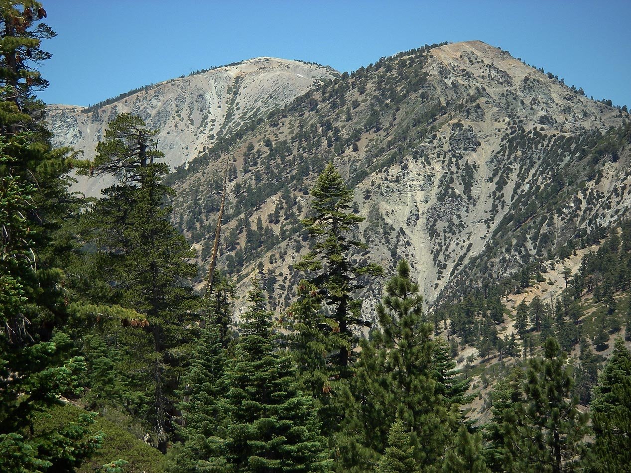 imgp0010.jpg