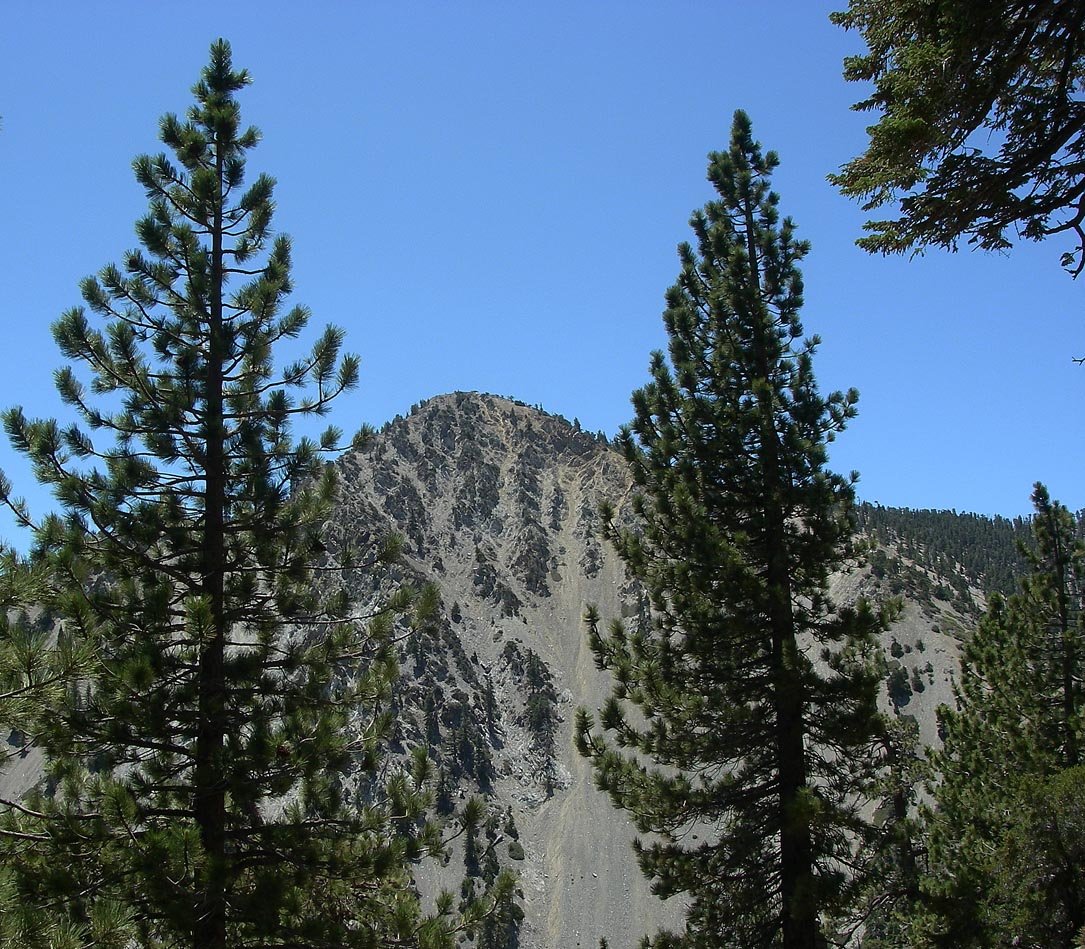 imgp0011.jpg