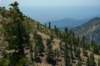 imgp0016_small.jpg