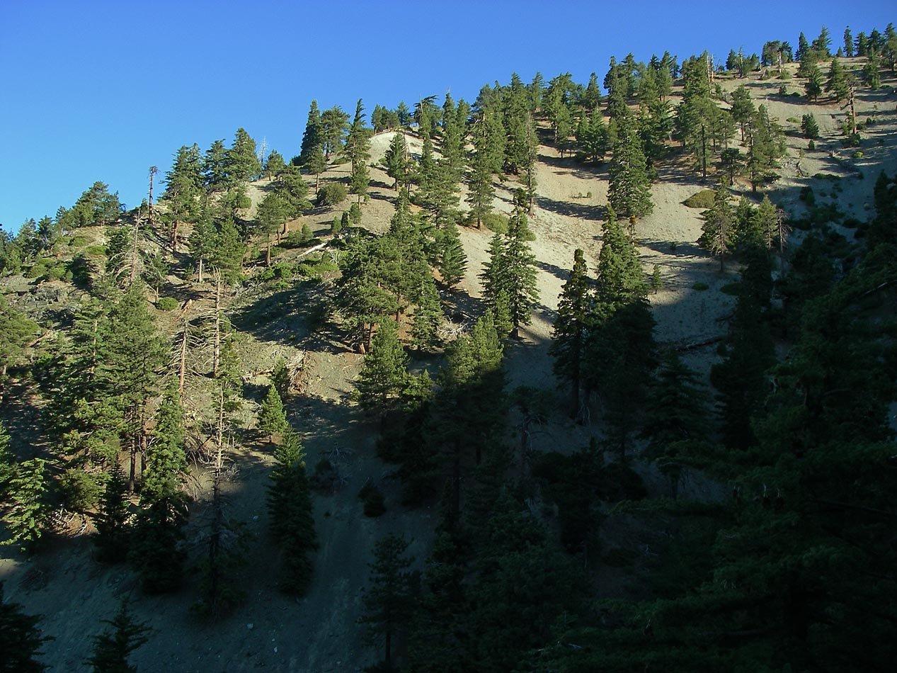 imgp0018.jpg