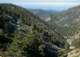 imgp0029_small.jpg