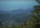 imgp0038_small.jpg