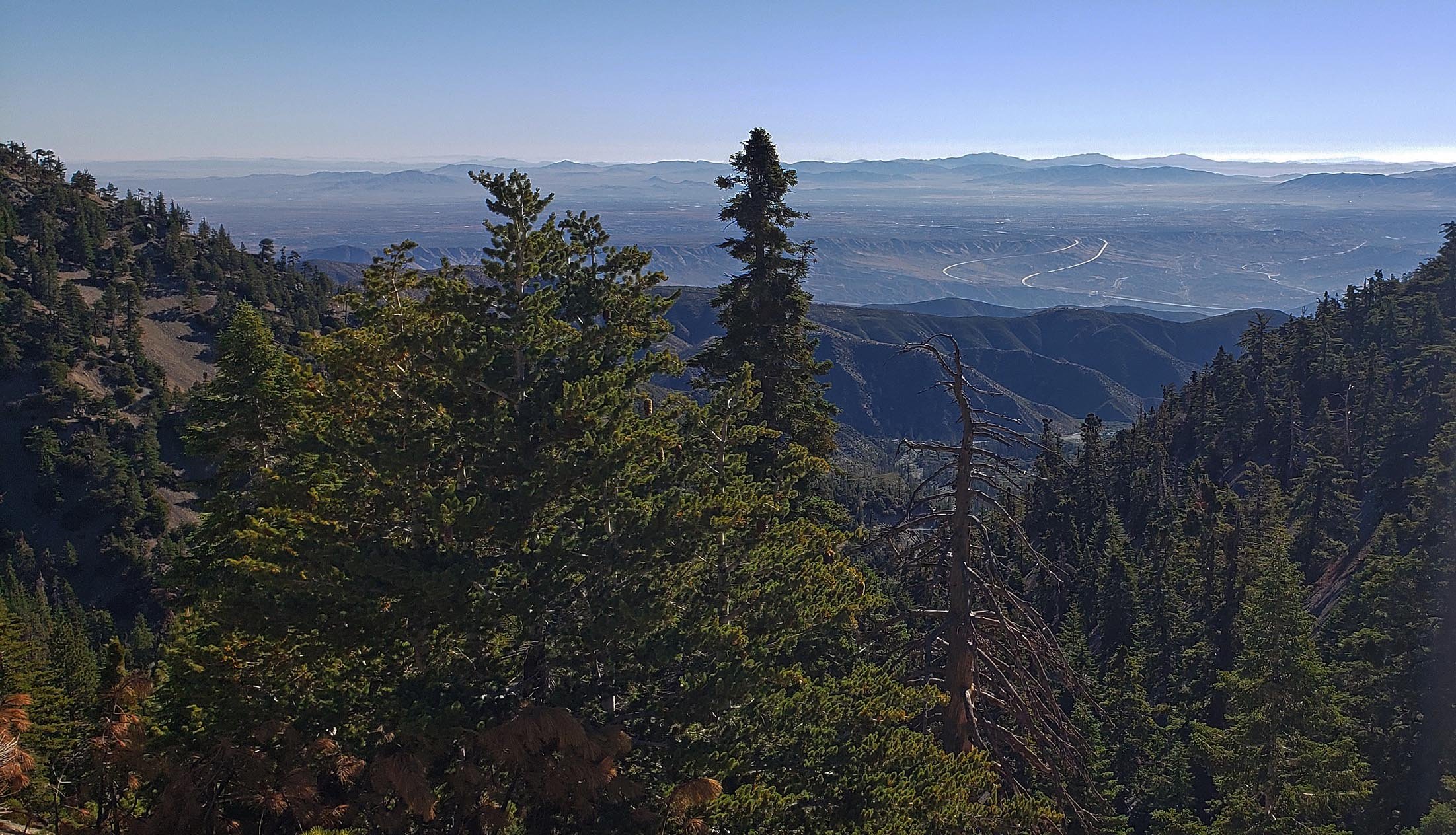 glxy9_20200718_082054.jpg