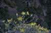 imgp0024_small.jpg