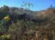 imgp0008_small.jpg