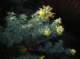 imgp0009_small.jpg