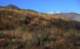 imgp0012_small.jpg