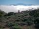 imgp0019_small.jpg