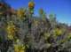 imgp0022_small.jpg