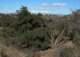 imgp0049_small.jpg