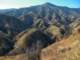 imgp0008_small.jpg