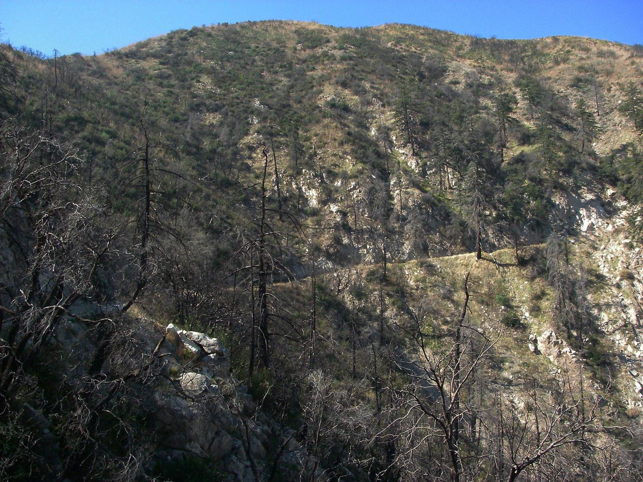 imgp0017.jpg