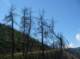 imgp0025_small.jpg