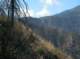 imgp0026_small.jpg