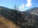 imgp0029_small.jpg