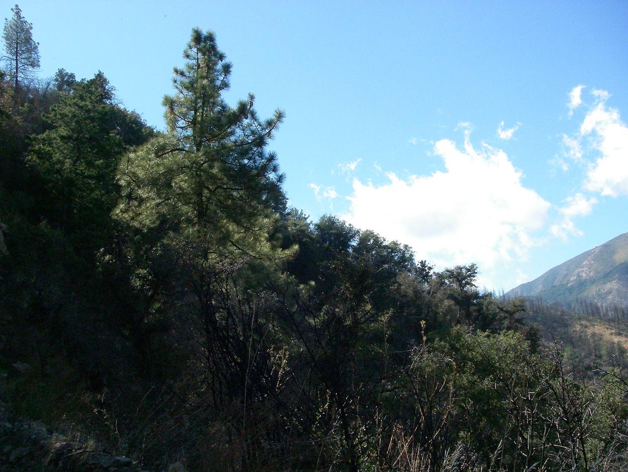 imgp0034.jpg
