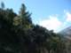 imgp0034_small.jpg