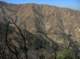 imgp0035_small.jpg