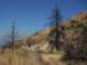 imgp0039_small.jpg