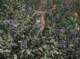 imgp0004_small.jpg
