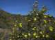 imgp0005_small.jpg