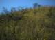 imgp0006_small.jpg