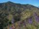 imgp0009_small.jpg