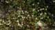 imgp0020_small.jpg
