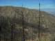 imgp0028_small.jpg