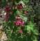 imgp0033_small.jpg