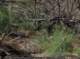 imgp0037_small.jpg
