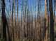 imgp0038_small.jpg
