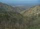 imgp0042_small.jpg