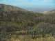imgp0043_small.jpg