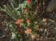 imgp0044_small.jpg