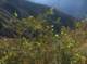 imgp0045_small.jpg