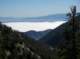 imgp0006_small.jpg