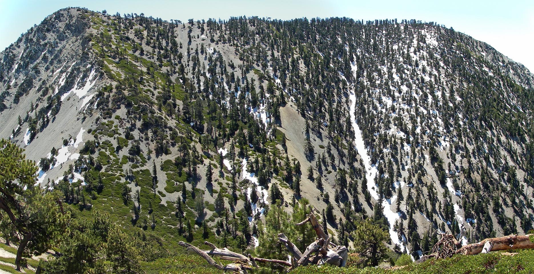 imgp0012m.jpg