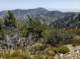 glxy9_20210509_133342_small.jpg