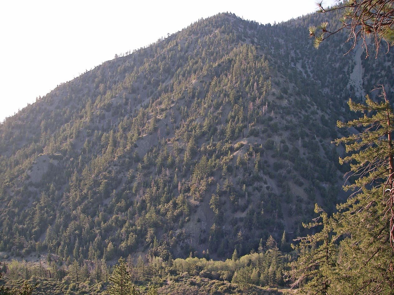 imgp0005.jpg