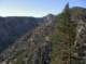 imgp0006_small.jpg