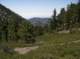 imgp0013_small.jpg