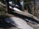 imgp0017_small.jpg